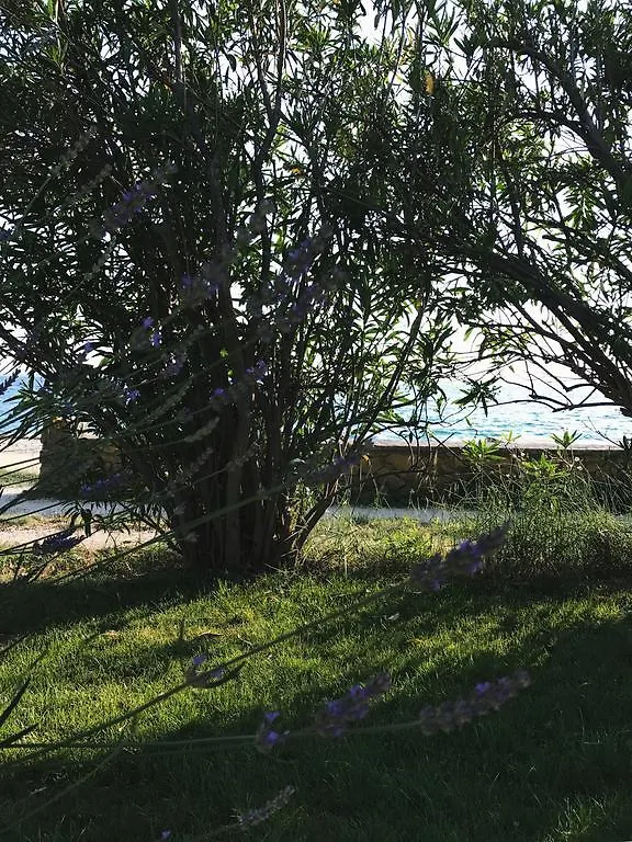 Apartment Puntica Petrcane Croatia